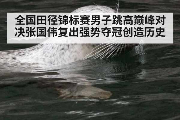全国田径锦标赛男子跳高巅峰对决张国伟复出强势夺冠创造历史