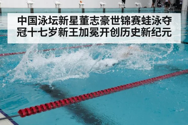中国泳坛新星董志豪世锦赛蛙泳夺冠十七岁新王加冕开创历史新纪元
